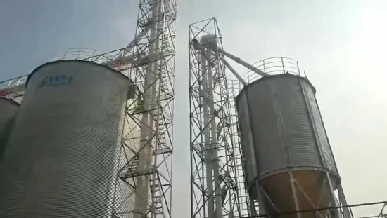 China Shelley Factory Customized Bucket Elevator Grain Elevator Loading System