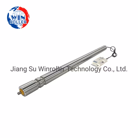 Winroller Dgbl38 Conveyor Components with V Ribbed Belt for Automatic Conveyor System