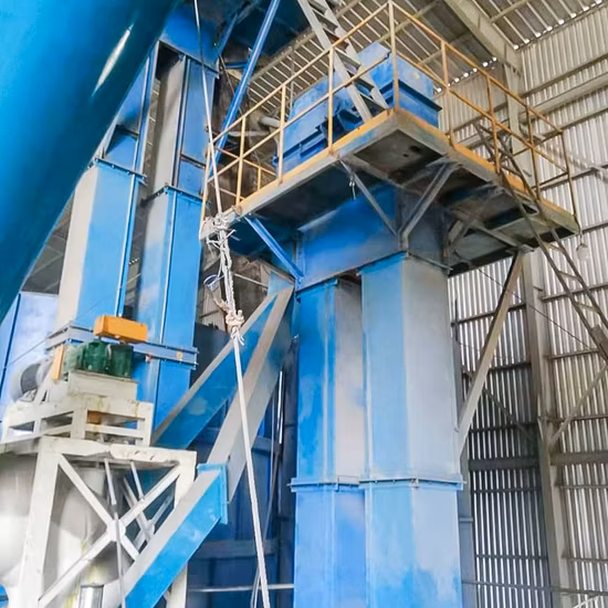 Economic Bucket Elevator Price E